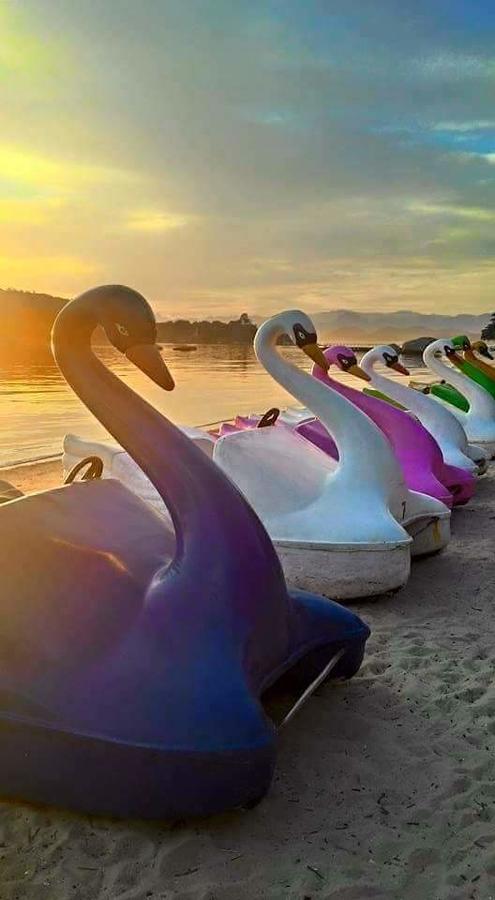 Pousada Brumar Rio de Janeiro Dış mekan fotoğraf