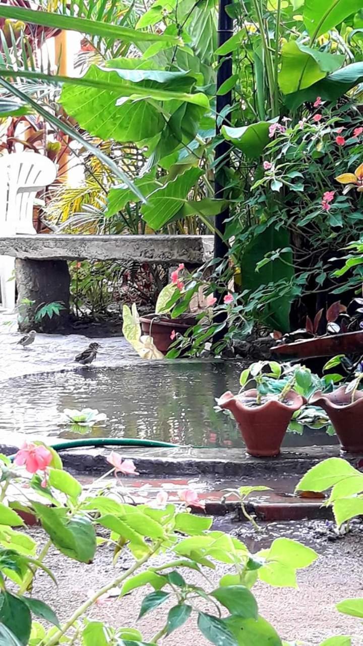 Pousada Brumar Rio de Janeiro Dış mekan fotoğraf